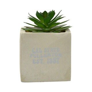 MINI FAUX POTTED SUCCULENT NEIL ENETERPRISES